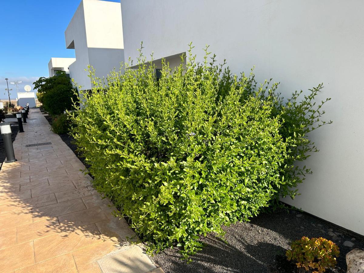 Casilla De Costa, La Oliva Appartement Villaverde  Buitenkant foto